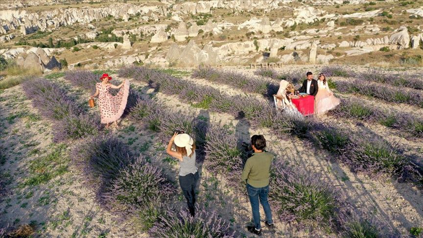 The Lavender Cappadocia Project